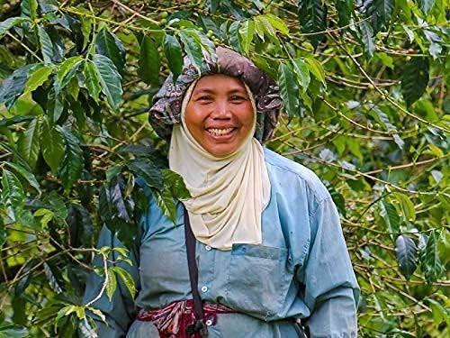 Indo Estate Coffee インドエステートコーヒー　Kopi Luwak Bali コピルアク バリ　100g　粉末