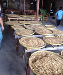 Indo Estate Coffee インドエステートコーヒー　Kopi Luwak Bali コピルアク バリ　ドリップフィルター　６杯分入