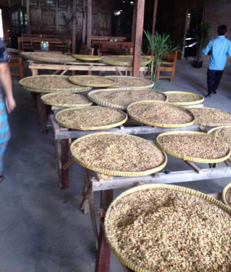 Indo Estate Coffee インドエステートコーヒー　Kopi Luwak Bali コピルアク バリ　ドリップフィルター　６杯分入