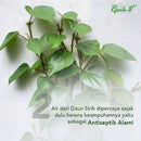 レシックブイ フェミニンウォッシュ Godokan Sirih ゴドカンシリー 100ml 海外直送品