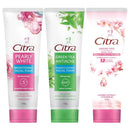 チトラ フェイシャルフォーム 50g パールホワイト1本 グリーンティーアンチアクネ1本 サクラフェア1本