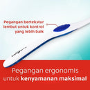 コルゲート 歯ブラシ 360シリーズ ベース 海外直送品