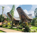 エクセルソ インドネシアコーヒー Kalosi Toraja 200g 極細挽き 海外直送品