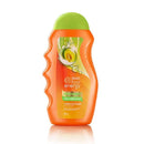 マカリゾ ヘアエナジー ファイバーセラピー コンディショニングシャンプー 170ml アロエ＆メロンの商品画像