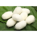 NR コンディショナー 200ml タイプH ボリューム 海外直送品