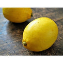 NR コンディショナー 200ml タイプH ボリューム 海外直送品