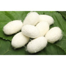 NR クリームバス トリートメント 500g ソフト 海外直送品